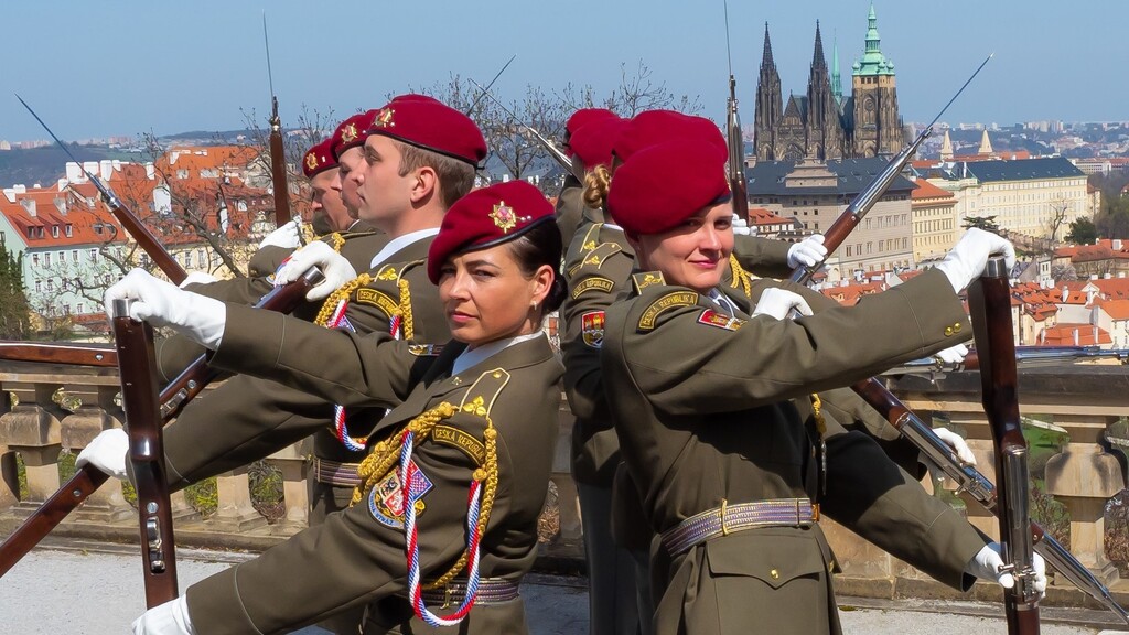 ilustrační obrázek novinky